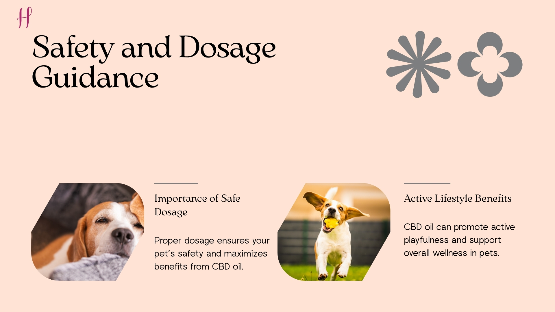 Safety and dosage guidance